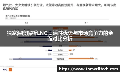 独家深度解析LNG灵活性优势与市场竞争力的全面对比分析