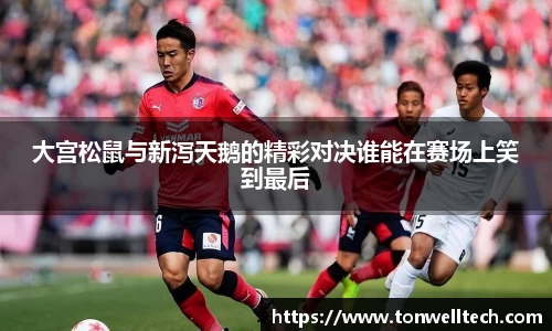 大宫松鼠与新泻天鹅的精彩对决谁能在赛场上笑到最后