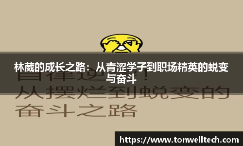 德信体育
